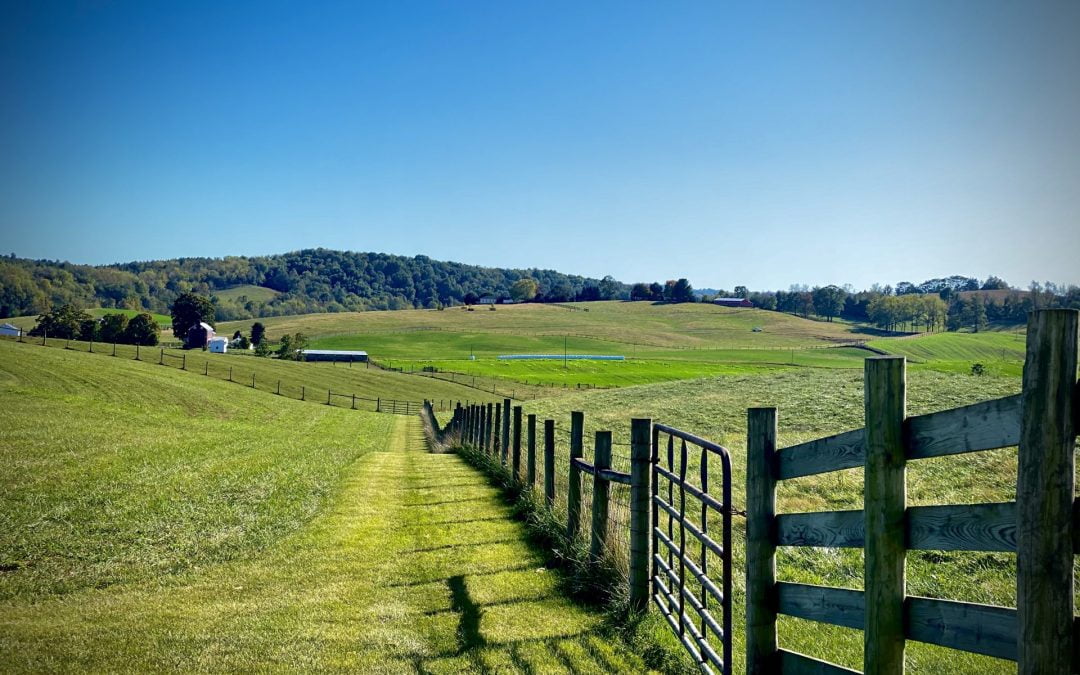 Electric Gate Maintenance Tips: How to Keep Your Gate Running Smoothly?